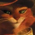 Gato De Botas